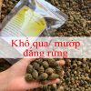 khổ qua/ mướp đắng rừng