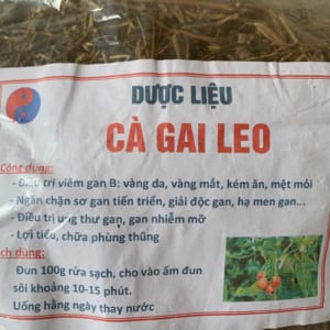 cà gai leo