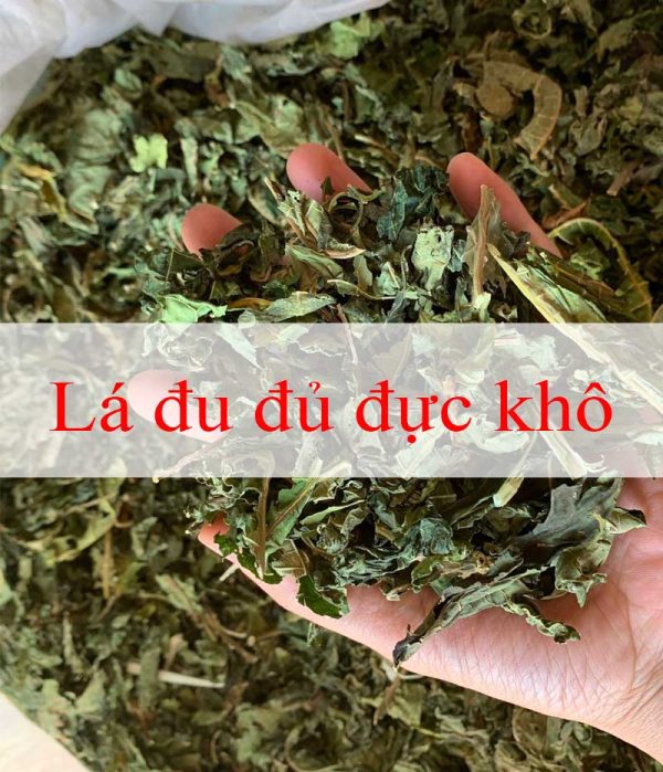 tác dụng của lá đu đủ khô