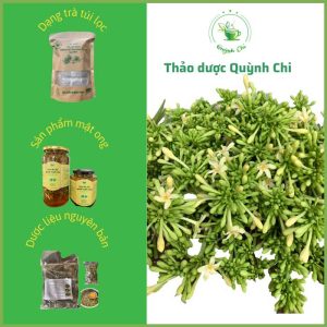 ảnh giới thiệu thảo dược Quỳnh Chi