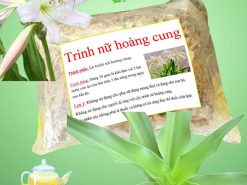 trinh nữ hoàng cung 11